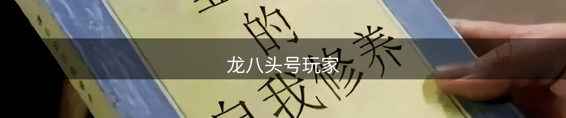 龙八头号玩家